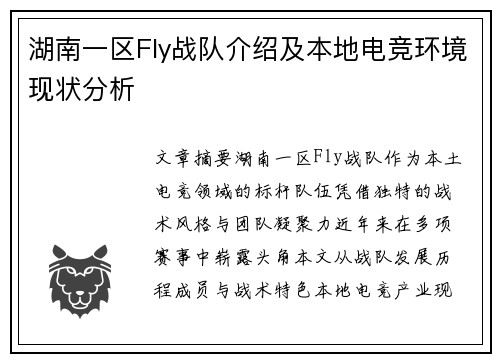 湖南一区Fly战队介绍及本地电竞环境现状分析