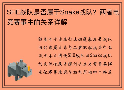 SHE战队是否属于Snake战队？两者电竞赛事中的关系详解